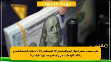 قفزة جديدة.. سعر الدولار اليوم الخميس 28 أغسطس 2025 مقابل الجنيه المصري يخالف التوقعات هل يتجه نحو مستويات قياسية؟ 1